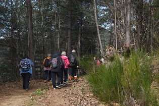vignette Chasse au trésor en forêt de Banières